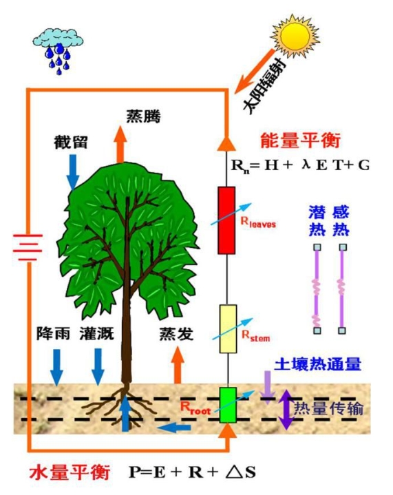 蒸散量测定方法及原理！