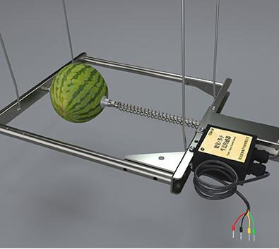 树干生长传感器、西瓜生长传感器