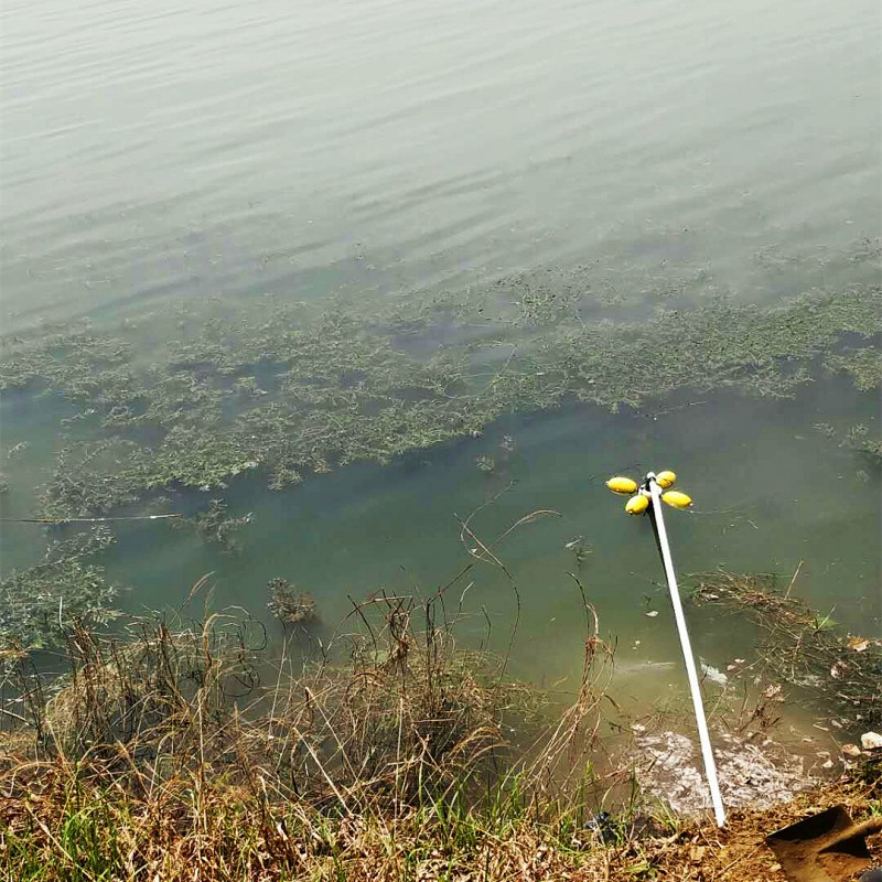 泰安市湿地公园水质监测系统落成！