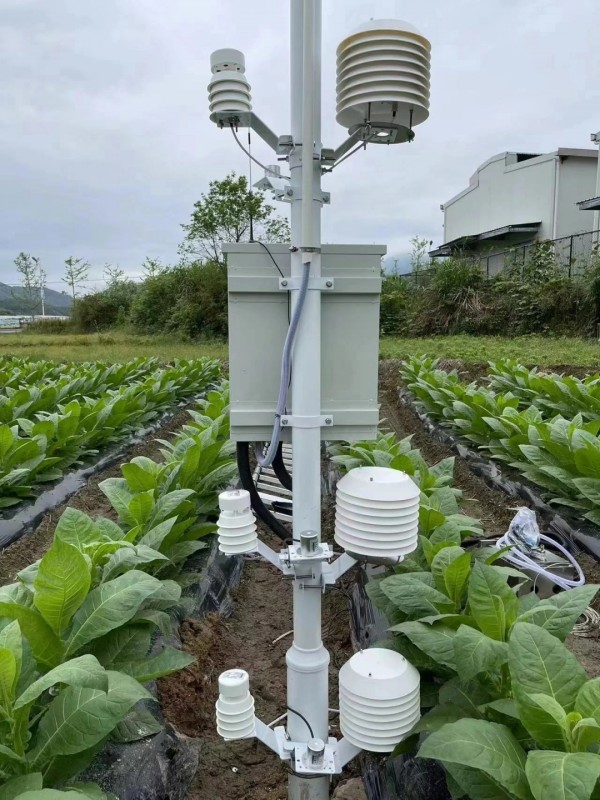 云南烟草种植基地墒情气象监测系统安装落成！